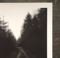 Image 3 of Keep Going (forest road) print
