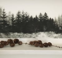 Image 3 of Winter Forest Print