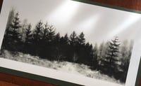 Image 5 of Winter Forest Print