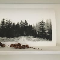 Image 4 of Winter Forest Print