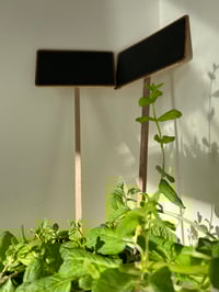 Image 1 of Wooden Blackboard Stakes