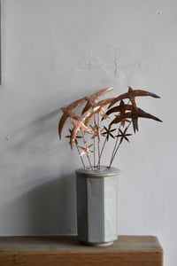 Image 1 of Swift