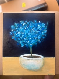 Image 2 of Night Petals