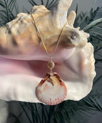 Image 2 of Flat Scallop Necklace N159