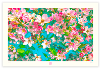 Image 1 of SPRING FORWARD 