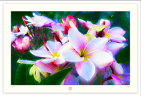 Image 1 of A FLORAL EXPLOSION 