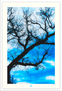 Image 1 of SLEEPY HOLLOW