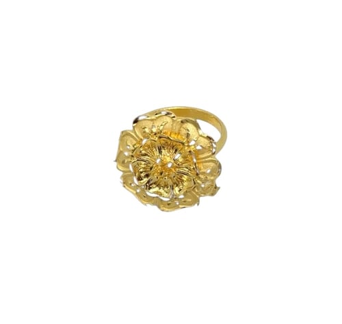 Image of ASIMA EARRING SET 
