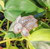 PinClub Reptile March 2025