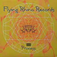 Process – Internal Horizon / Funktion Junktion (Goa Trance - Used)