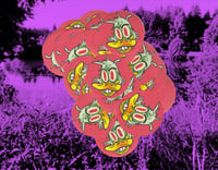 Image 2 of Duck Sticker