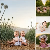 Image 1 of Sitter Session