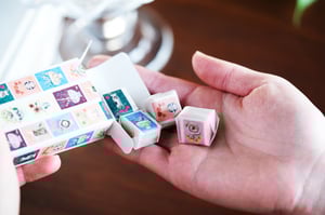 Image of Polly Fern X MT Washi Tape