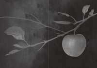 Image 4 of Fröja's Apples: Plants, gods, & other beings in Swedish folklore by Sara Bonadea George