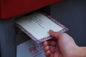 Image of Polly Fern X MT Washi Tape