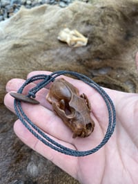 Image 2 of Ferret skull pendant.
