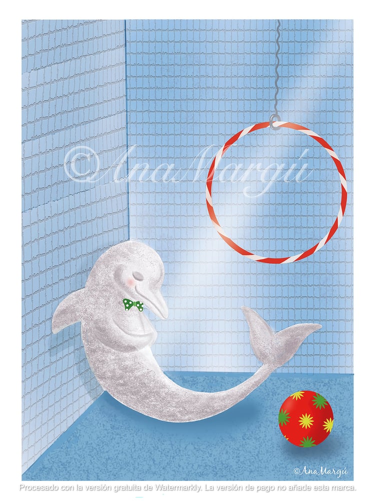 'Los delfines no bailan' (Serie 'Animales sin Cuento')