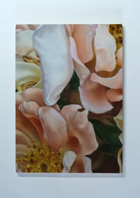 Little Petals 03