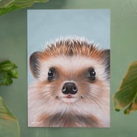 Image 2 of Little hedgehog | Poster