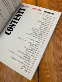 Image 4 of Howie Good's THE DARK (2nd EDITION)