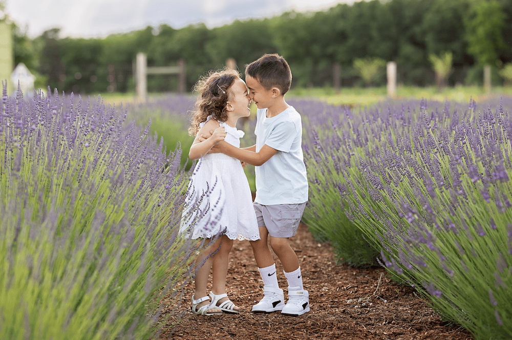 Image of 6/30 | Lavender Farm Minis