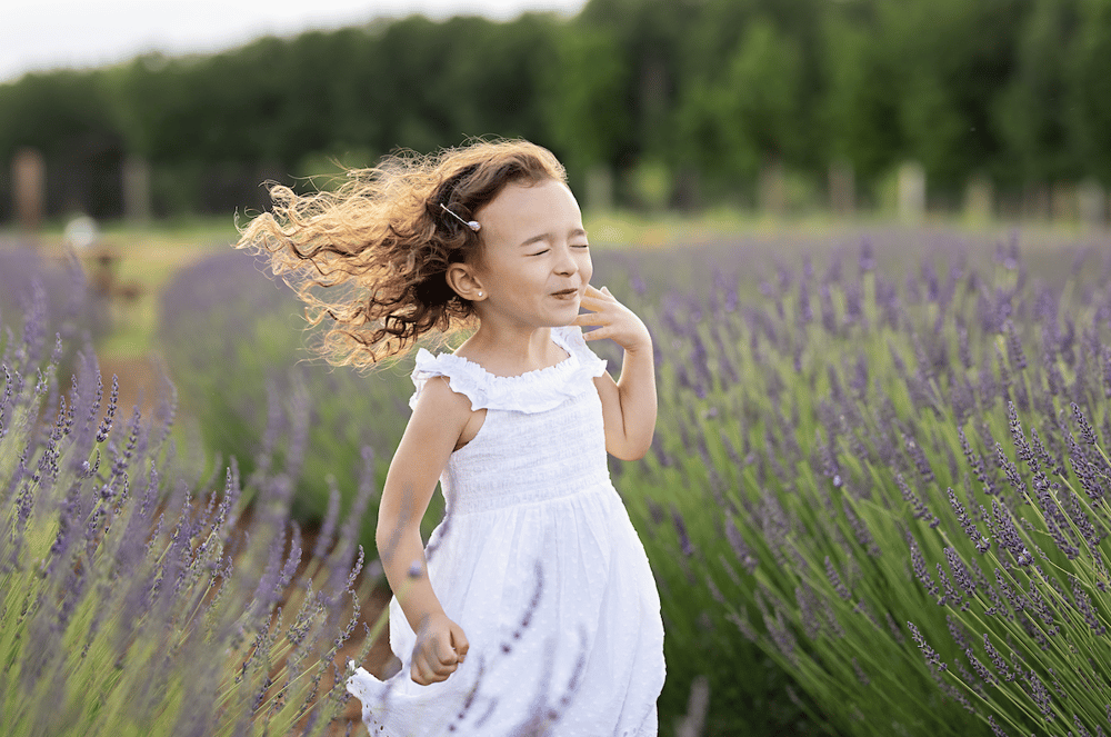Image of 6/30 | Lavender Farm Minis