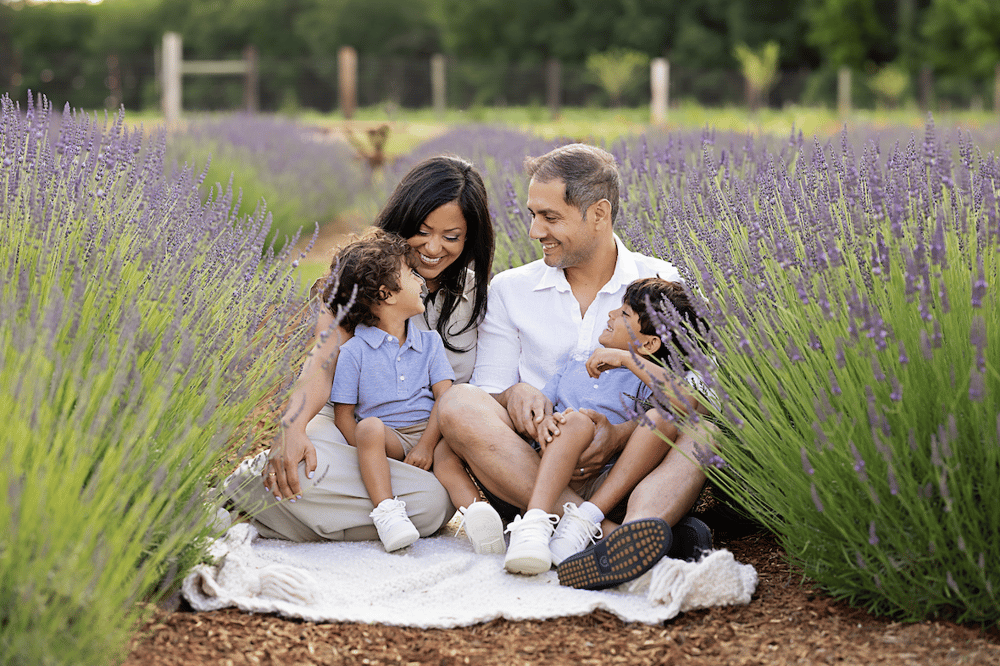 Image of 6/30 | Lavender Farm Minis