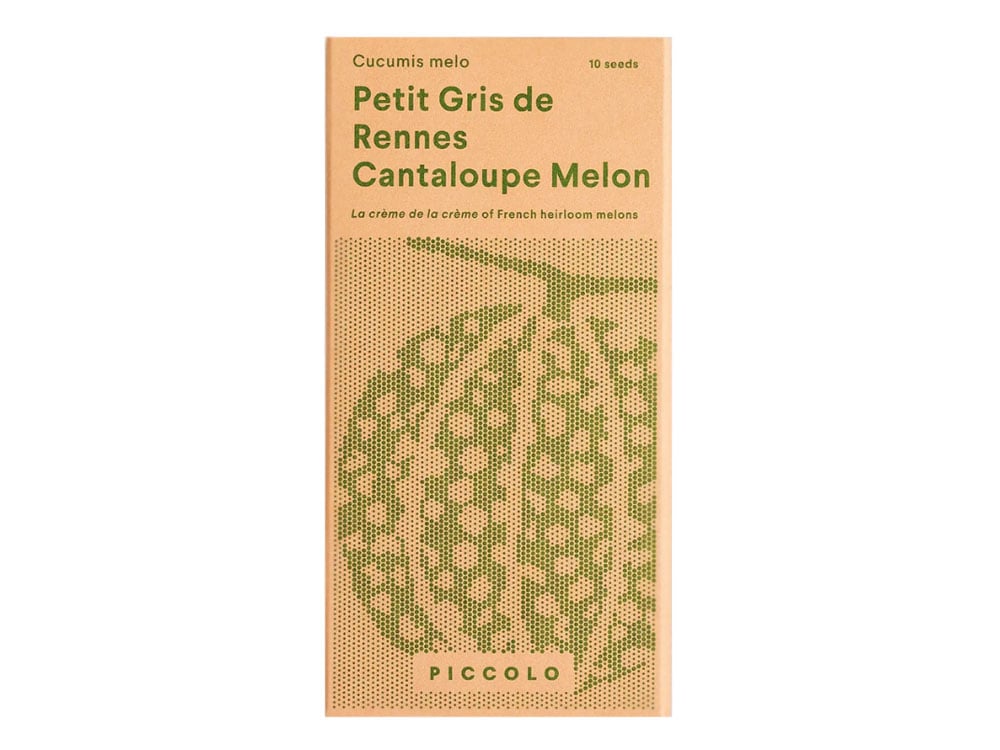 Image of SAATGUT Petit Gris de Rennes Cantaloupe Melon