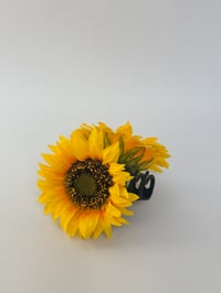 Image 1 of sunflower claw