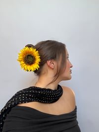 Image 2 of sunflower claw