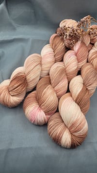 Image 1 of Rose chocolat  - Tabi 