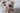 Odd-eyed Cat Doll