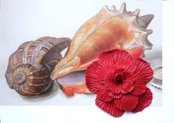 Image of Broche fleur rouge (Camélia)