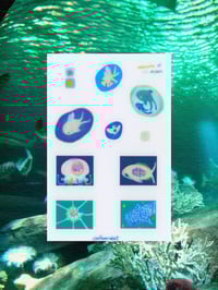 Image 1 of memories of the ocean sticker sheet