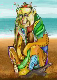 Image 1 of beach monkey