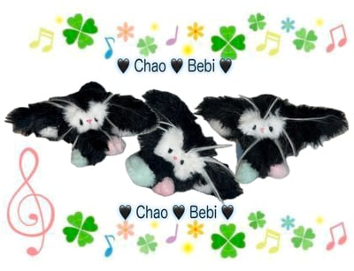Image of Bebi Chao
