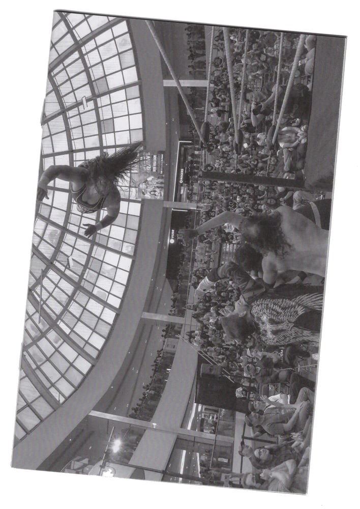 Image of Beyond The Black Curtain: From the Post Of Love Wrestling.