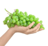 Apple, Rabbit, Grapes Image 3