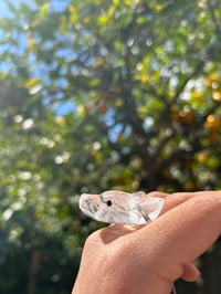 Image 5 of QUARTZ WOLF 🐺 