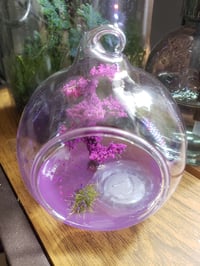 Image 3 of Diorama Domes