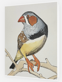Image 1 of Birdy (cards & envelopes) min order 50 cards