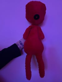 Image 1 of Button eyed gibbie