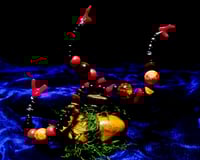 Image 1 of 'TRI-CORAL' - AIR PLANT ISLAND (DELUXE MINI)
