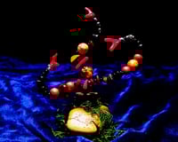 Image 4 of 'TRI-CORAL' - AIR PLANT ISLAND (DELUXE MINI)
