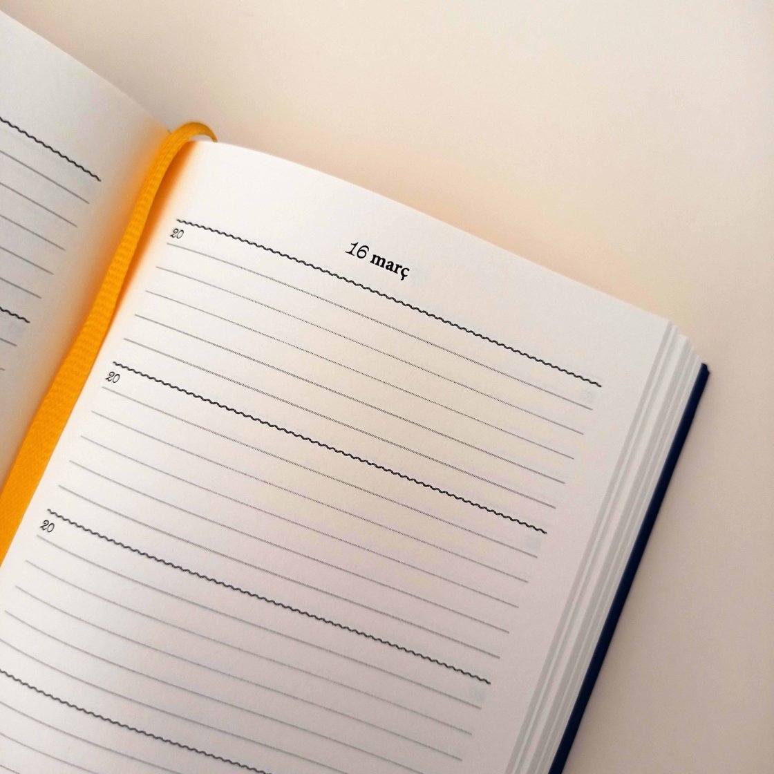 Image of Un quinquenni en cinc línies