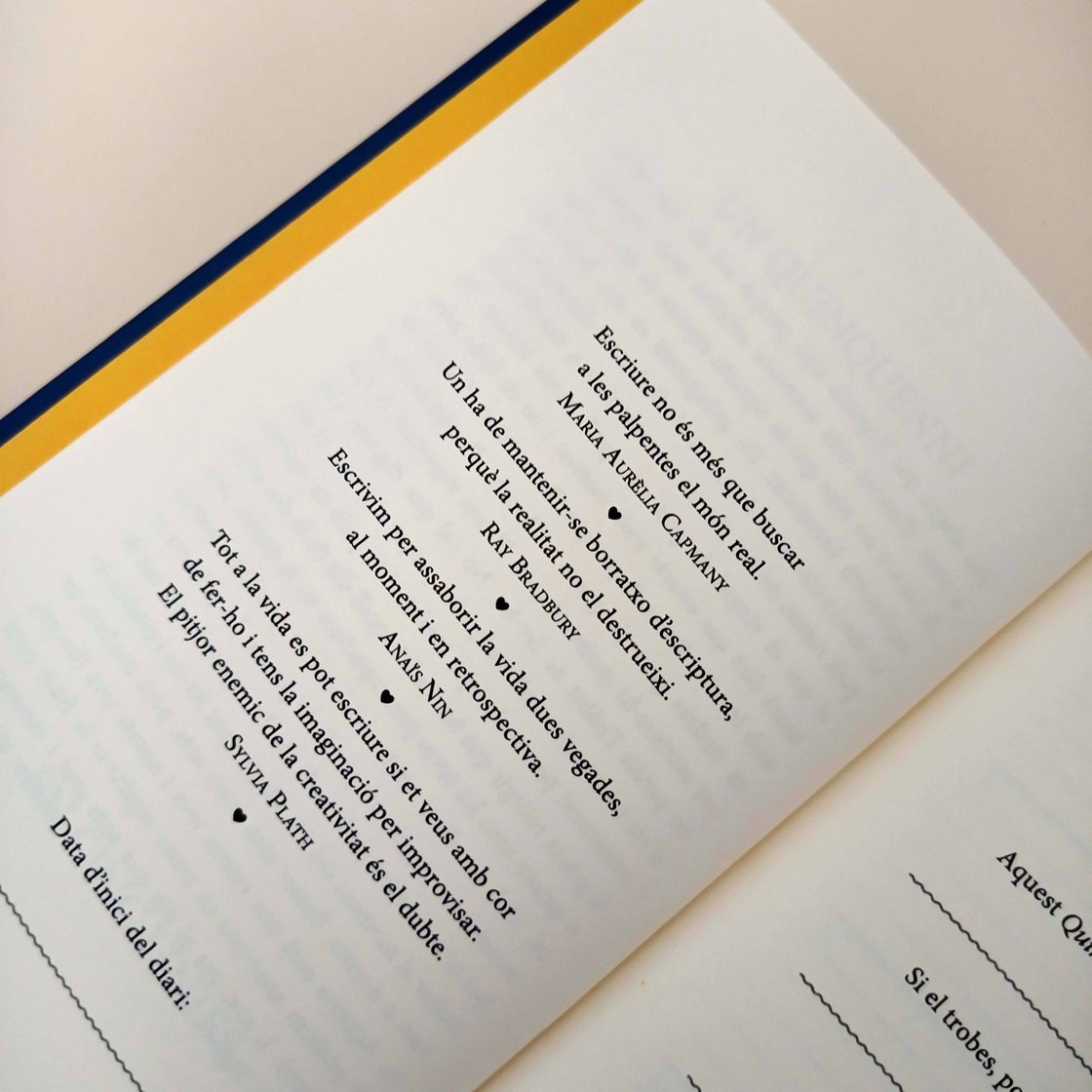 Image of Un quinquenni en cinc línies