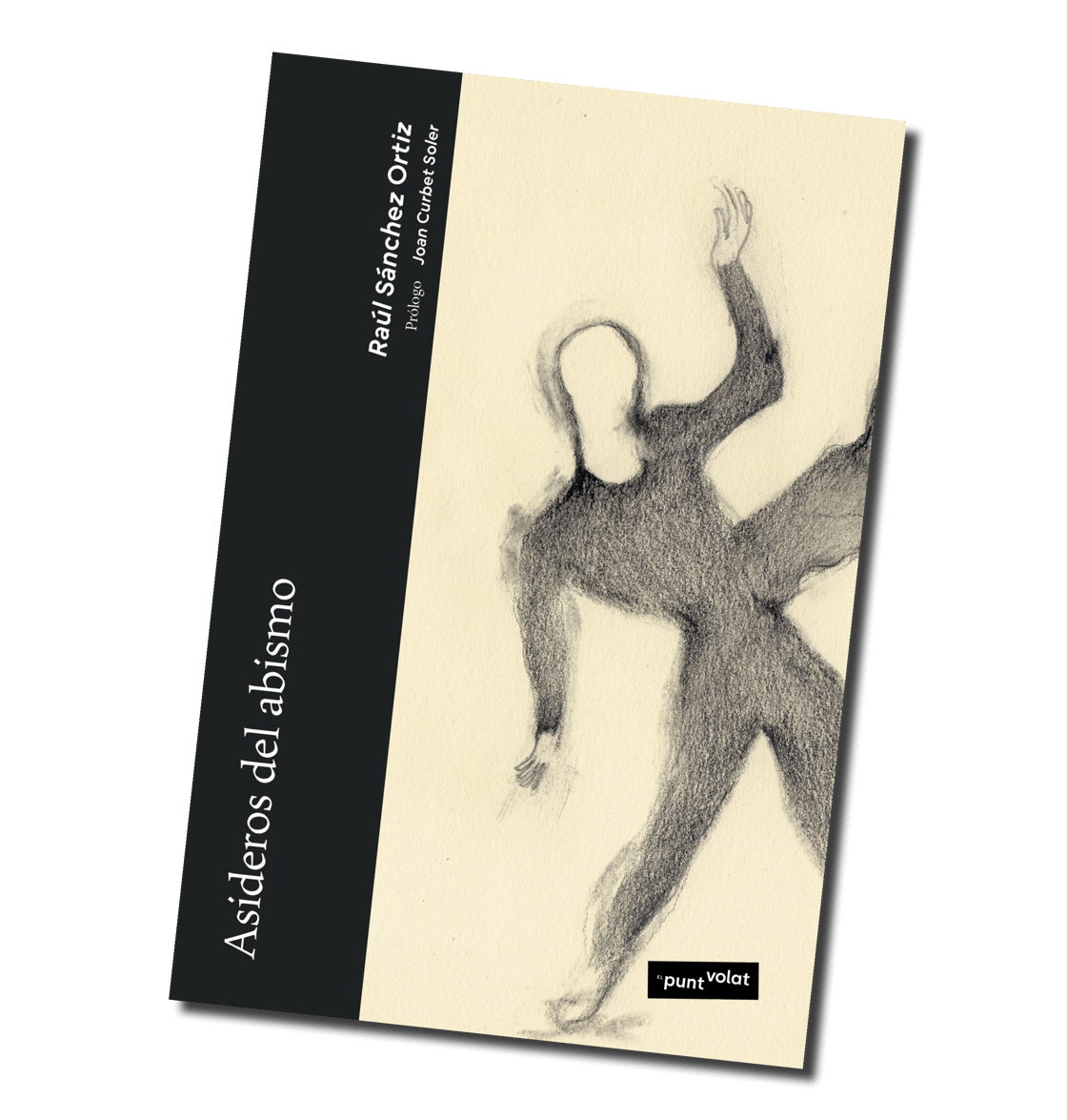 Image of Asideros del abismo, de Raúl Sánchez