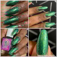 Image 21 of Welcome To The Jungle