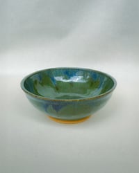 Image 1 of Seaweed Bowl