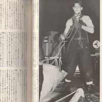 Image 20 of Fool's Mate No. 45